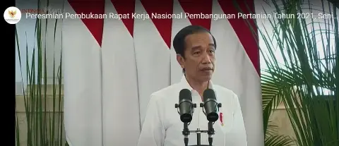 Presiden Jokowi: Ekspor Pertanian Tinggi, Sawit Kontributor Utama