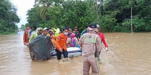 Akademisi Unlam: Sawit Bukan Pemicu Banjir Kalsel