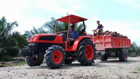Pengembangan Mekanisasi Di Perkebunan Kelapa Sawit
