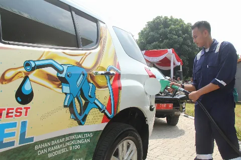 Jejak Dana Hibah: Kampanye Batasi Sawit Sebagai Bahan Baku Biodiesel