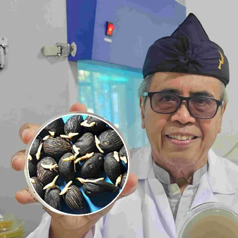 Meluruskan Salah Persepsi Impor Benih Sawit: Soal Plasma Nutfah, Bukan Ketergantungan