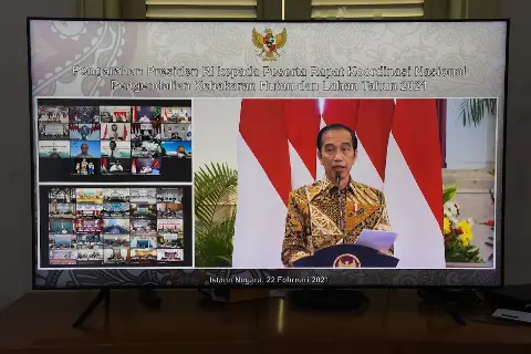 Enam Arahan Presiden Jokowi dalam Rakornas Pengendalian Karhutla Tahun 2021