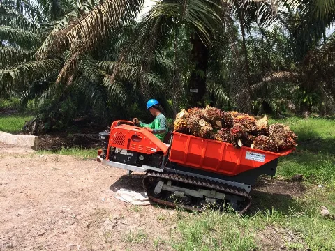 Mengenal Alat Angkut Buah Kelapa Sawit