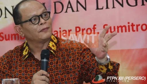 PASPI Usul Perbaikan Harga Sawit Melalui Relaksasi Ekspor dan Penggunaan Domestik