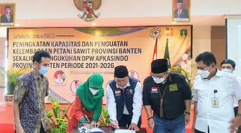 APKASINDO dan BPDPKS Tingkatkan Kompetensi Petani Sawit Banten