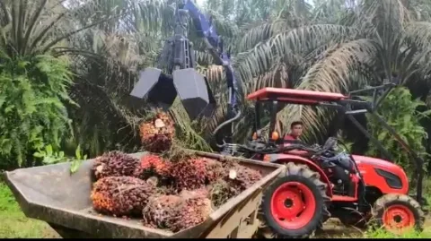 OptimalisasiPengumpulanTandanBuah Segar (TBS) KelapaSawit
