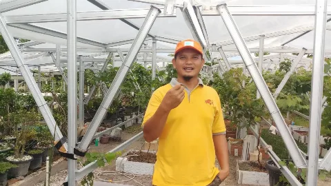 ESTA Kieser-MAG, Pupuk Premium dari Jerman untuk Kelapa Sawit Anda
