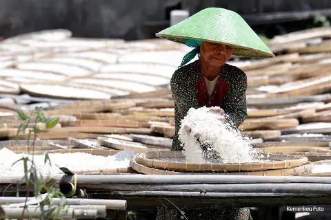 Pemerintah Berkomitmen Berikan Dukungan bagi UMKM