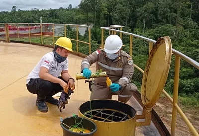 Jelang Ramadhan, Harga CPO Tembus RM 4.069/Ton