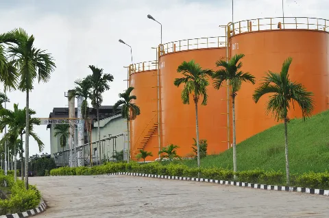 Triputra Agro Alokasikan Belanja Modal Rp 500 Miliar