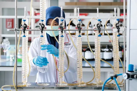 Sinar Mas Agri Siapkan Riset Dari Hulu Sampai Hilir