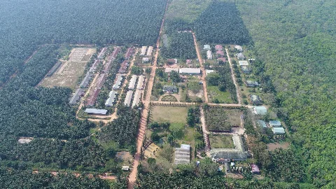 Riset Menjadi Bagian Bisnis Sampoerna Agro