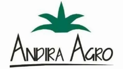 Ini Enam Formasi Pekerjaan Terbaru di PT Andira Agro Tbk