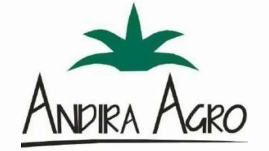 Ini Enam Formasi Pekerjaan Terbaru di PT Andira Agro Tbk
