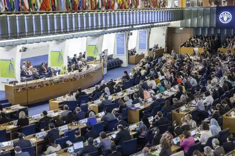 Indonesia Terpilih Sebagai Anggota Dewan FAO periode 2021-2024