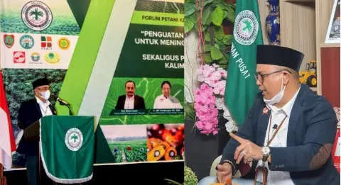 5 Faktor Penguatan Harga Minyak Sawit yang Mampu Pukau Dunia