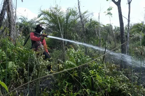 BPBD Kota Palangka Raya Tangani Karhutla di Tiga Wilayah