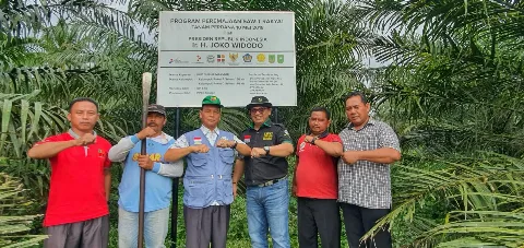 Sertifikasi ISPO, Petani, dan Tantangan Global