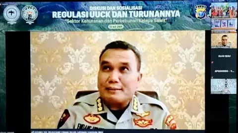 Kebun Sawit Dalam Kawasan Hutan, Prinsip Ultimum Remedium Satu-Satunya Jalan