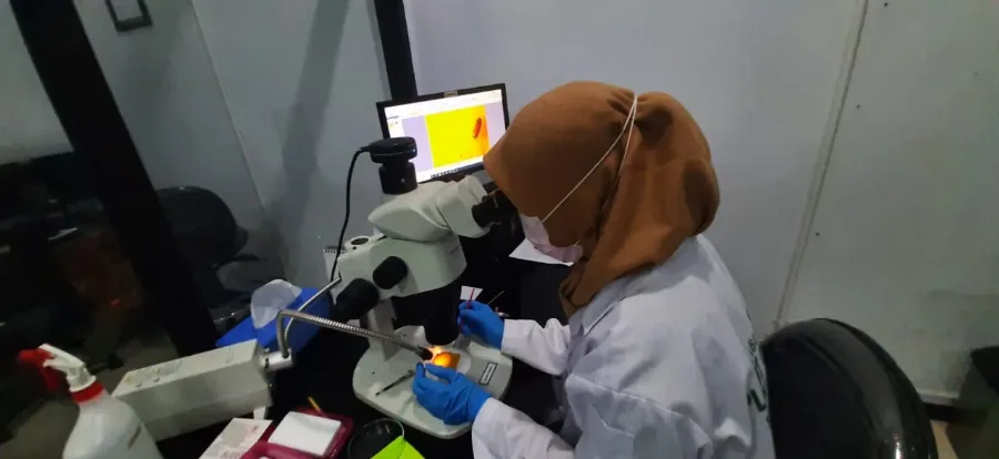 Periset Indonesia Masuk Peringkat Dunia