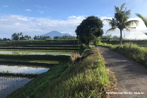 Sektor Pertanian Semakin Maju Bila Importasi Produk Dibatasi