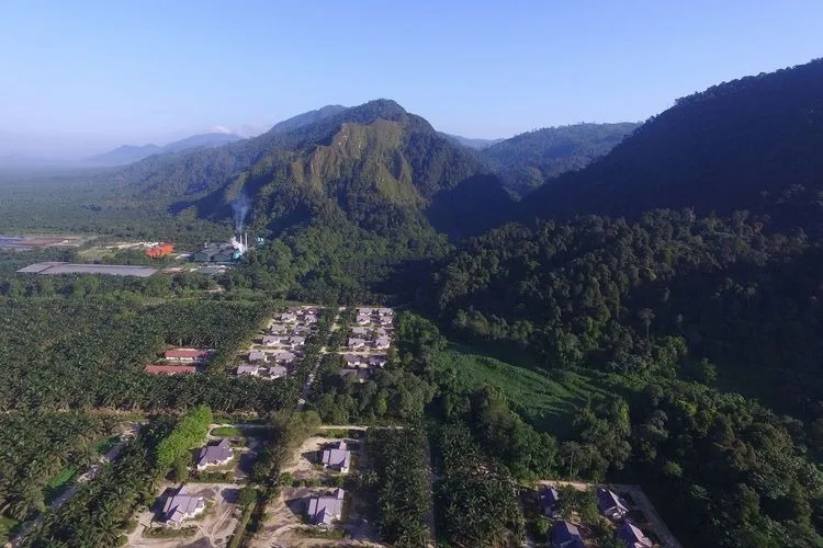 Strategi Austindo Nusantara Tekan Emisi Karbon