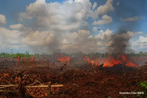 Perubahan Iklim Ancaman Global yang Berdampak Sama Seperti Pandemi Covid-19