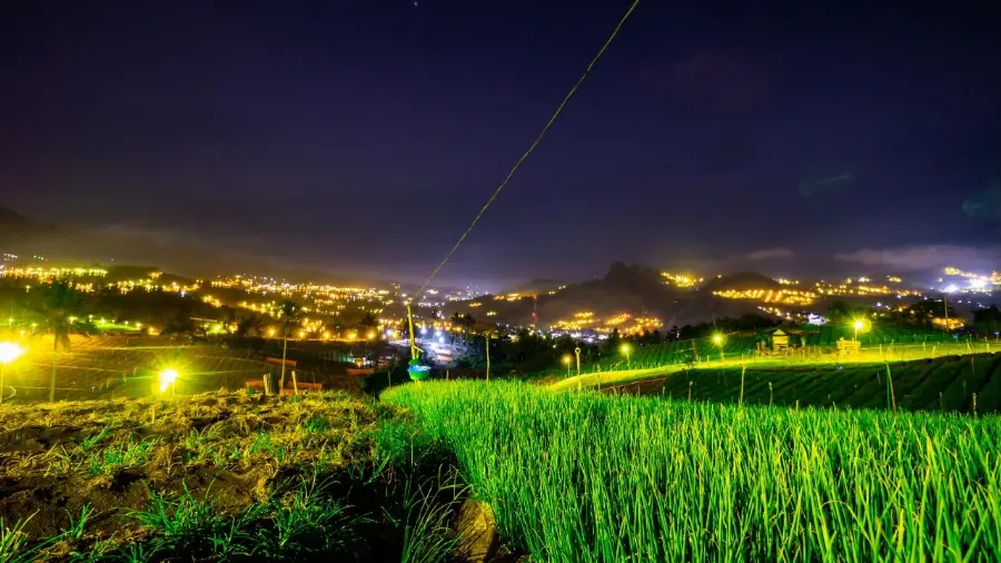 Tambah 1,65 Juta Pelanggan Baru, Penjualan Listrik PLN Naik Jadi Rp 140,5 Triliun