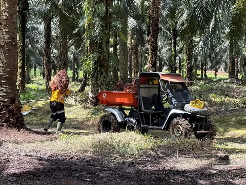 Astra Agro Patuhi Aturan Satgas PKH
