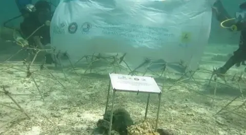 Peduli Lingkungan, PLN Kembangkan 32 Kawasan Konservasi Flora Fauna