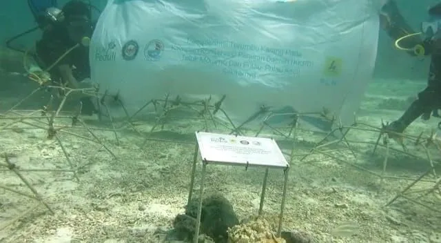 Peduli Lingkungan, PLN Kembangkan 32 Kawasan Konservasi Flora Fauna
