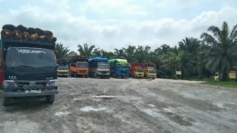 Aba-Aba agar Minyak Sawit Masuk ke Jalur Emas