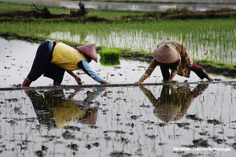 Anggaran TKDD Mendukung Pemulihan Daerah