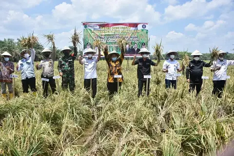 Pemkab Muba Wujudkan Petani Mandiri dan Melek Teknologi Bersama Tim IPB