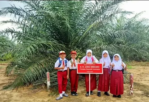 Ditanam Presiden Jokowi, Panen Perdana Sawit PSR  Oleh Wapres Ma’ruf Amin