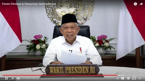 Kunjungi Manokwari, Wapres Cek Perkembangan PSR Sawit