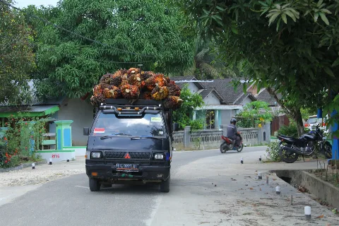 Menyelesaikan Persoalan Desa di Kawasan Hutan