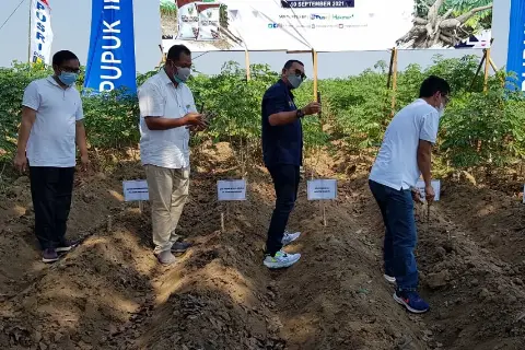 Program “MAKMUR”, Cara Erich Thohir Sejahterakan Petani Lampung