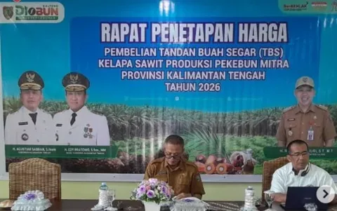 Harga TBS Kalteng Periode I Januari 2026 Merosot Menjadi Rp3.340,40/Kg