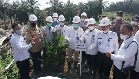 Sinar Mas Agri Dampingi Peremajaan Kebun Sawit Swadaya di Jambi