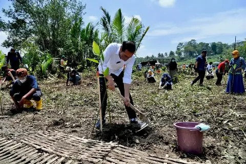 Presiden: Tanam Mangrove untuk Pemulihan Lingkungan dan Mitigasi Iklim