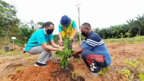TSE Hijaukan Kampung Naga dengan Pohon Buah