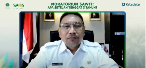 Viral Dirjen Planologi KLHK Katakan Sawit Bukan Pohon