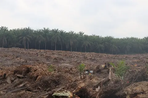 Harus Ada Kepastian Hukum Tanah untuk Rakyat