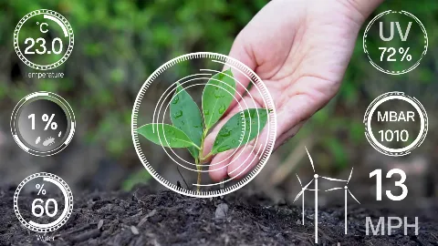 Transformasi Teknologi Informasi di Perkebunan Sawit