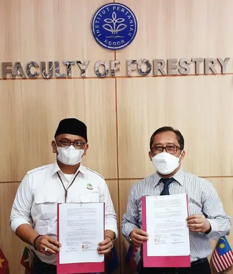 Fakultas Kehutanan IPB Rekomendasikan Sawit Sebagai Tanaman Hutan