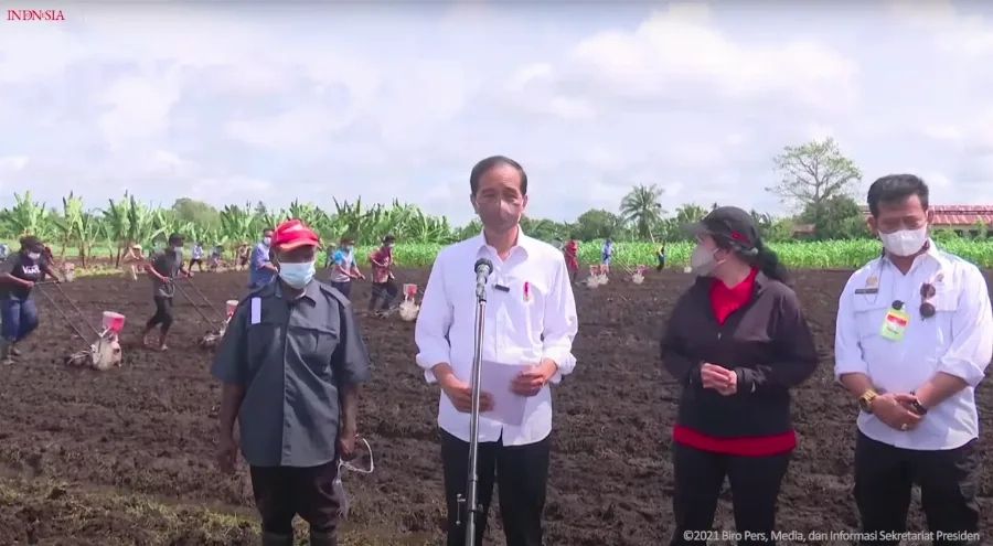 Lumbung Pangan itu Ada di Merauke