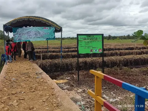 KLHK dan ITTO Selenggarakan Seri Pelatihan Praktik dan Pembangunan Demplot PLTB