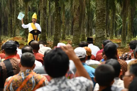 Jangka Benah Versi UGM dan Kehati Mengancam Eksistensi Sawit Rakyat