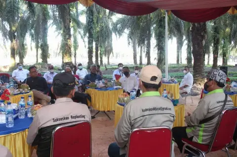 Berhasil Sejahterakan Petani, Pola Kemitraan PTPN V Akan Diterapkan Holding Perkebunan